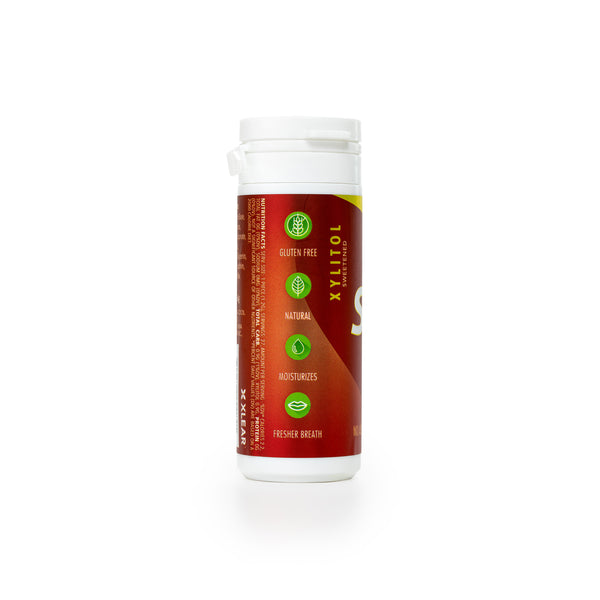 27ct Tube Gum - Cinnamon