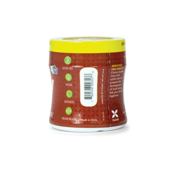 55ct Spry Gum - Cinnamon